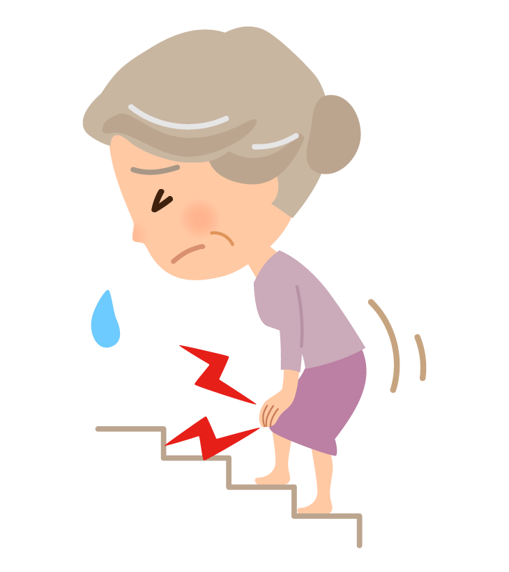 変形性膝関節症(膝痛) | 小田急よみうりランド南口鍼灸接骨院|読売ランド駅徒歩2分、地域密着の根本治療接骨院 ケガのプロがいる接骨院